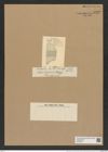 Isthmiella minima (B. et H.) De-Toni (de-Toni-Nr.: Genus 116, Species 3329) Zeichnungen Sammlung Grunow Nr. 6732 (NHMW-BOT-W0375550)